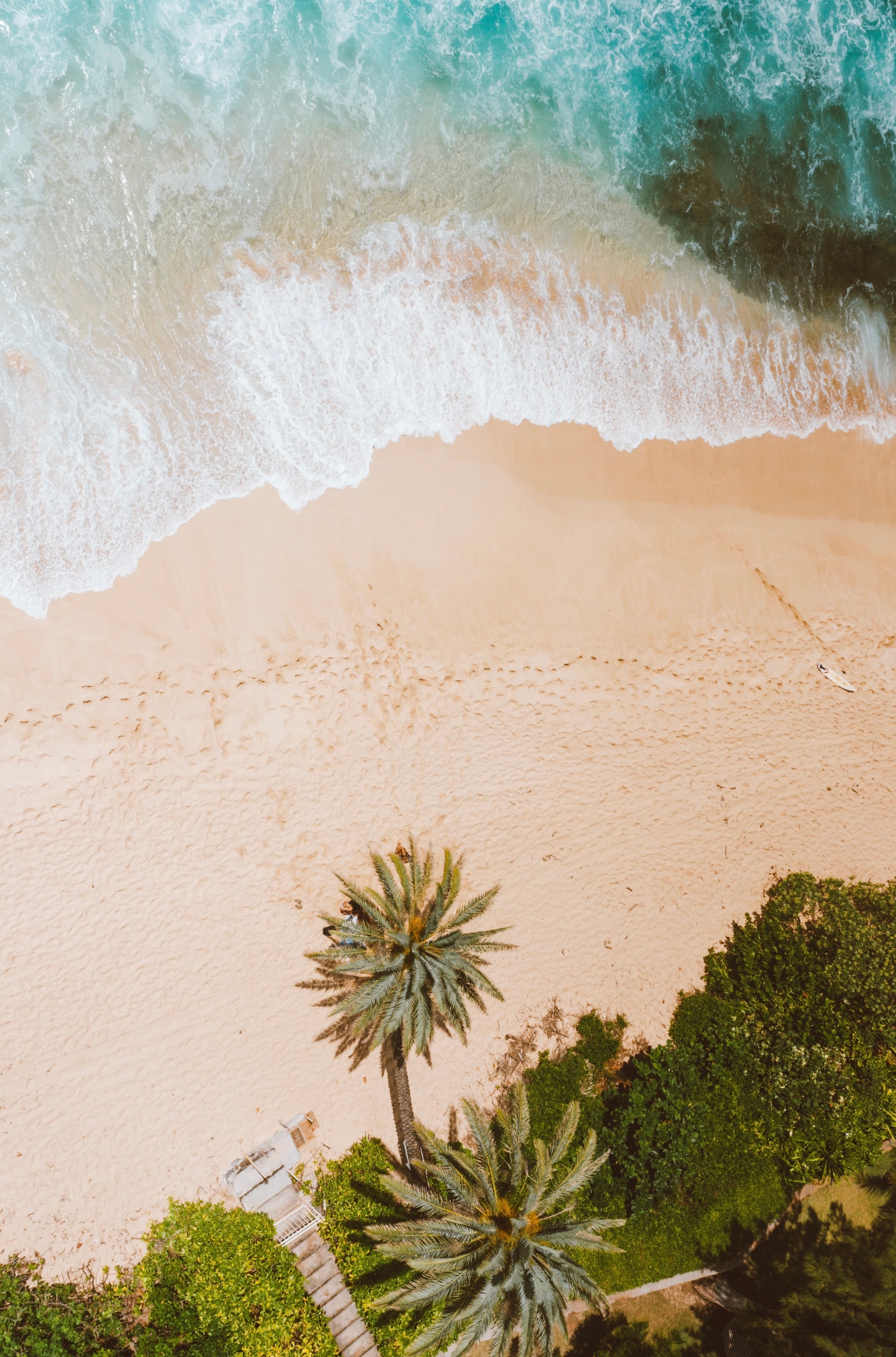 Plage paradisiaque avec palmiers